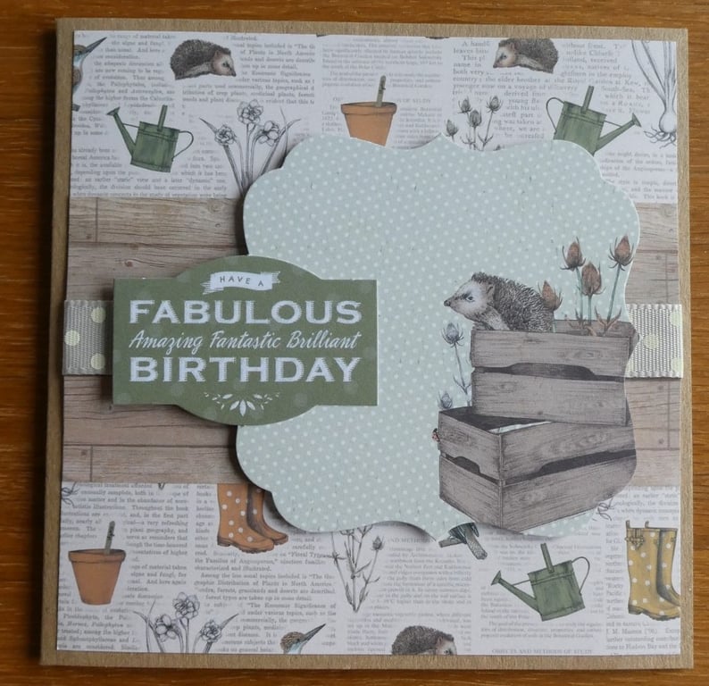 Hedgehog In Trays Birthday Card