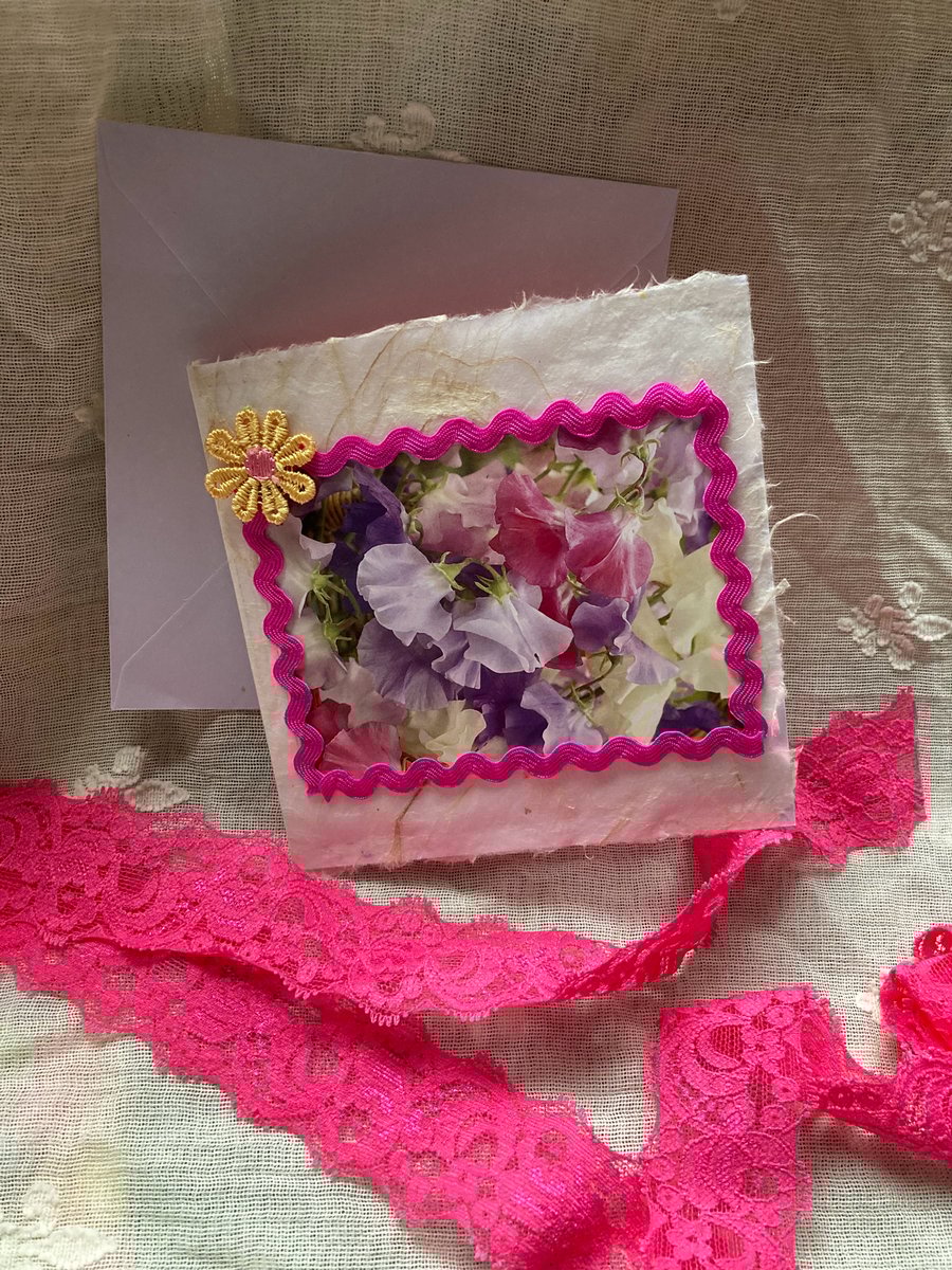 Blank sweet pea card 
