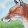 Aceo fox head original art