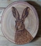 Pyrography Hare wood slice hanging decoration - Image 3