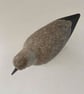 Dunlin - Image 3