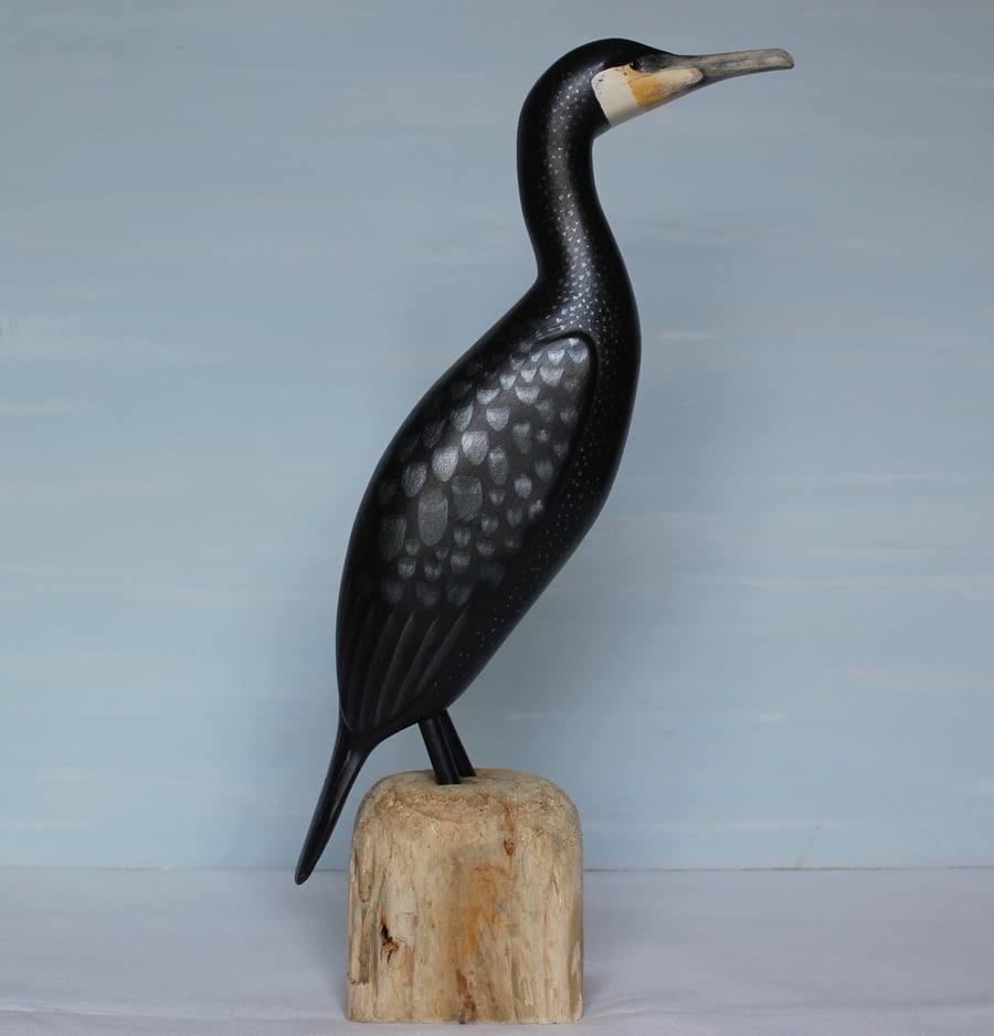 Cormorant on driftwood