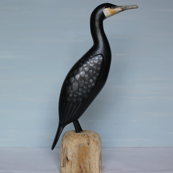 Cormorant on driftwood