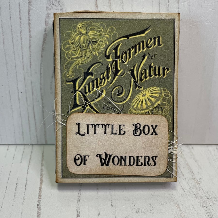 Curiosities - Little Box of Wonders by Carolee Crafts PB2 - 0020