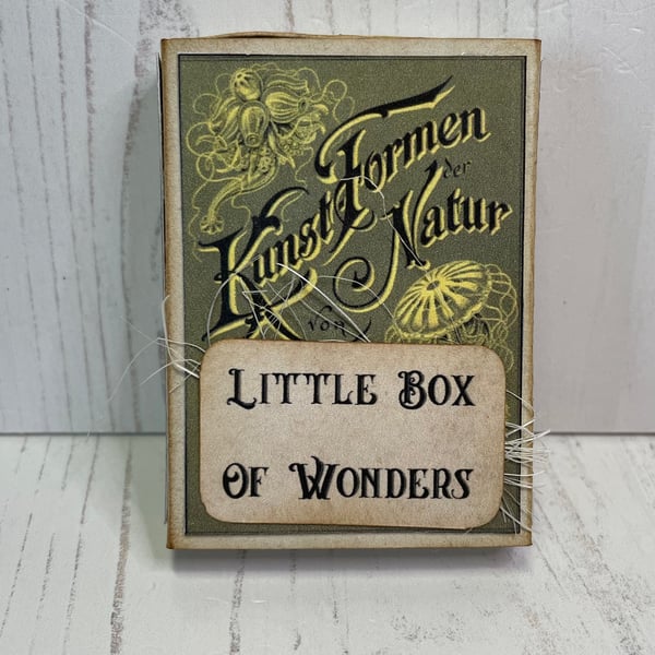 Little Box of Wonders PB4