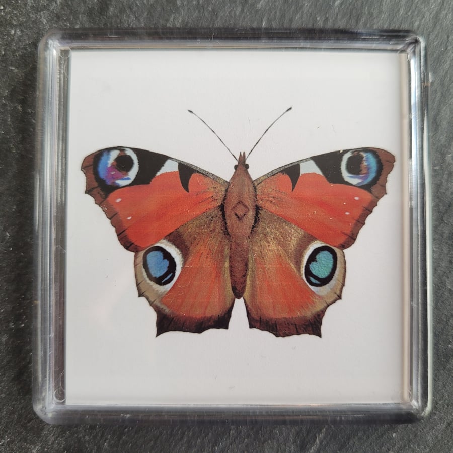 Peacock Butterfly Magnet