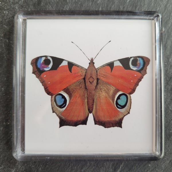 Peacock Butterfly Magnet