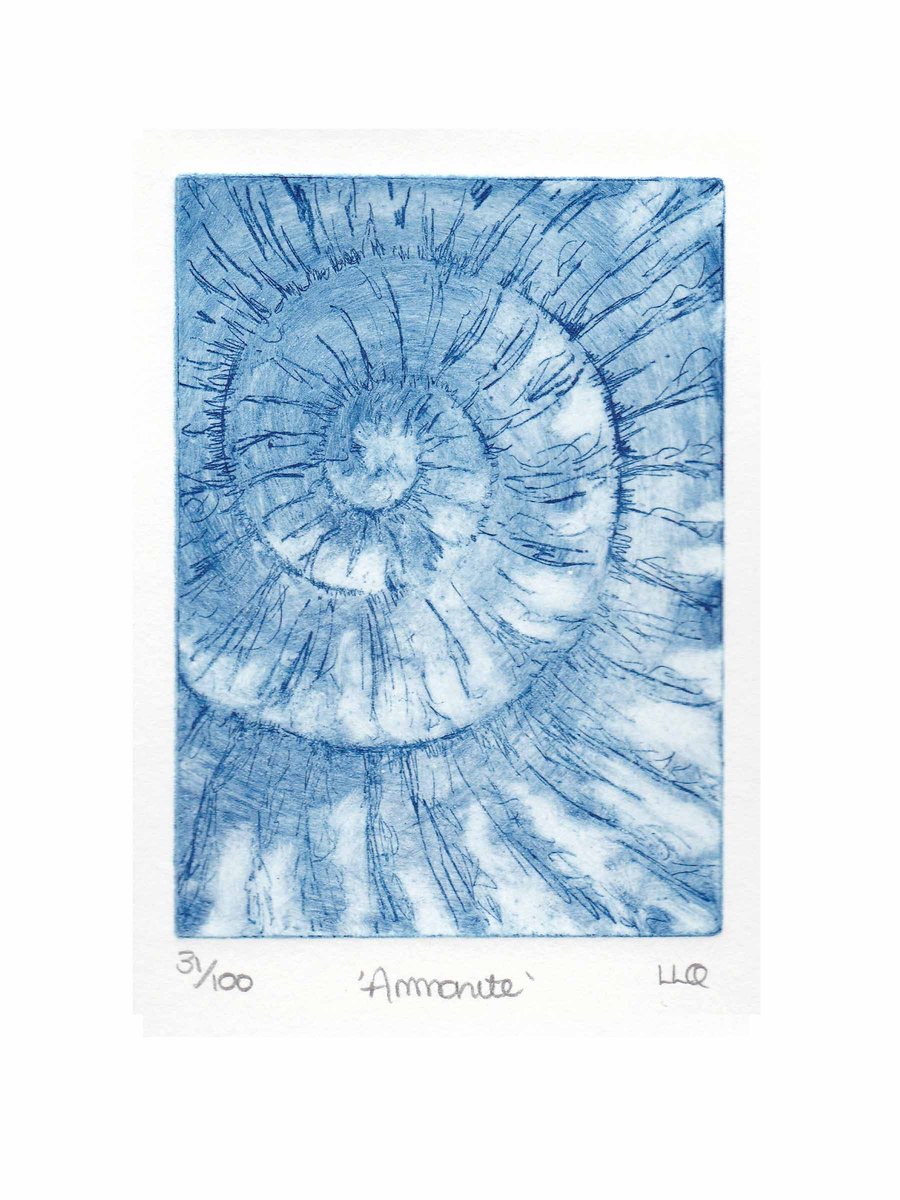 Etching no.31 of an ammonite fossil in an edition of 100