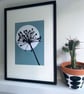 Botanical art, Garden Allium, seed head, shadow painting, handmade, signed, blue - Image 4