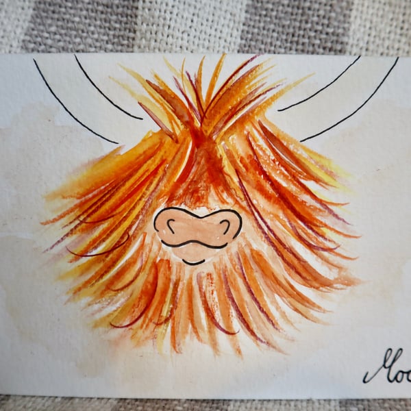 Highland Cow Postcard