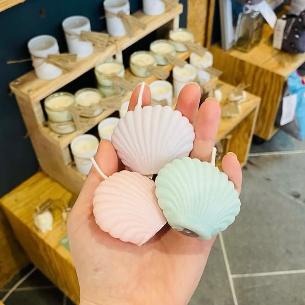 Sea Shell Soy Wax Candle Pair