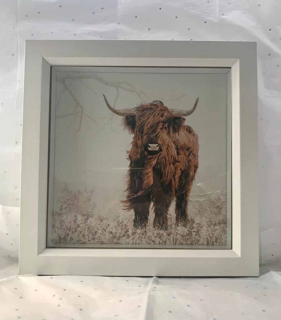 Beautiful highland cow in a shadow box frame