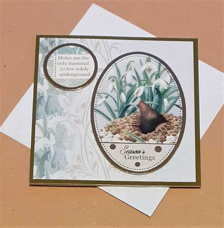 Mole Mini Christmas Card