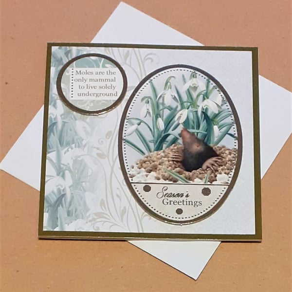 Mole Mini Christmas Card