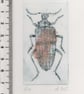 Original Mini Print Beetle  - Image 3