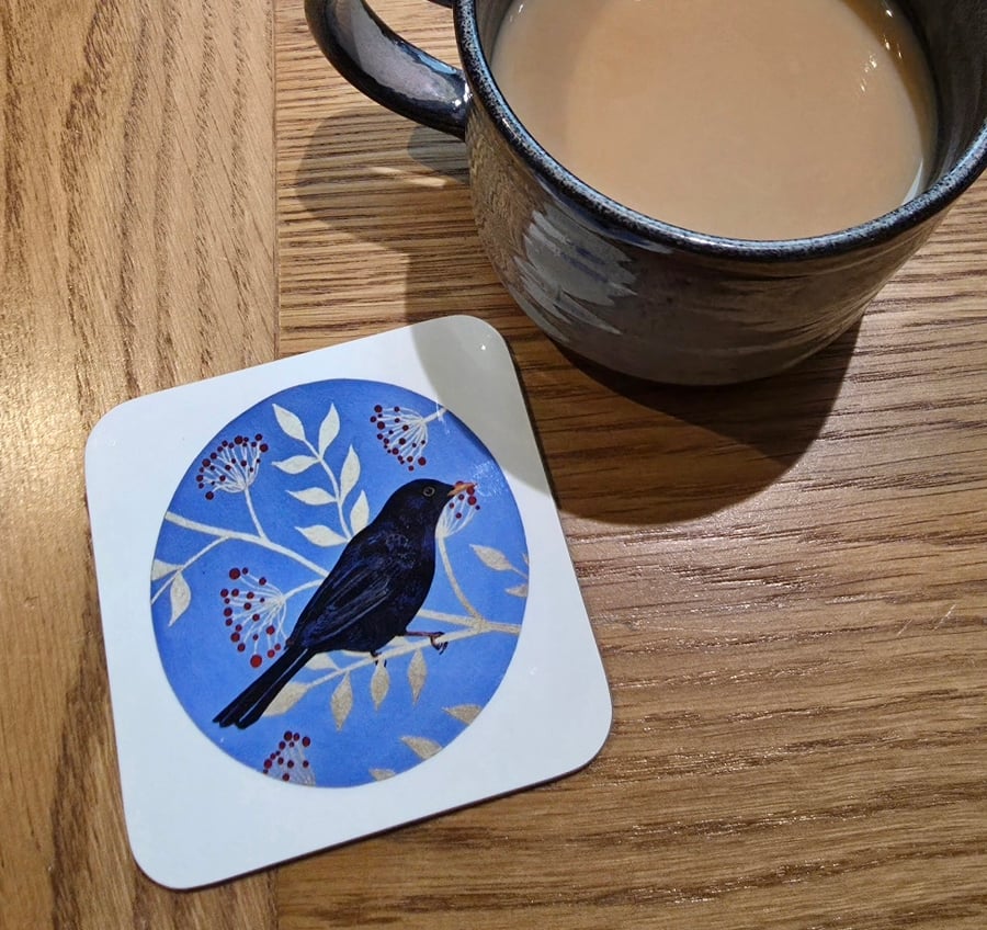 Blackbird Coaster