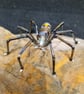 Hanging Spider Suncatcher Decoration Vintage Bum Bead - Image 3