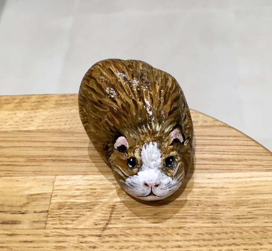 Guinea pig hand painted pebble garden rock art pet stone