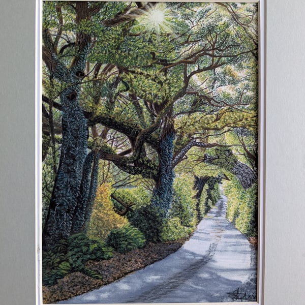 "Underneath the Arches"