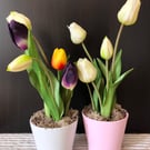 Tulips flower pot table centrepiece , country home table arrangement for wife