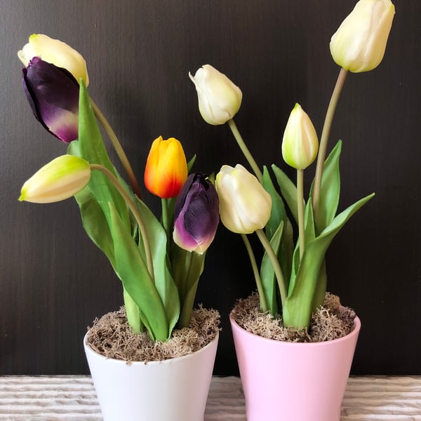 Tulips flower pot table centrepiece , country home table arrangement for wife