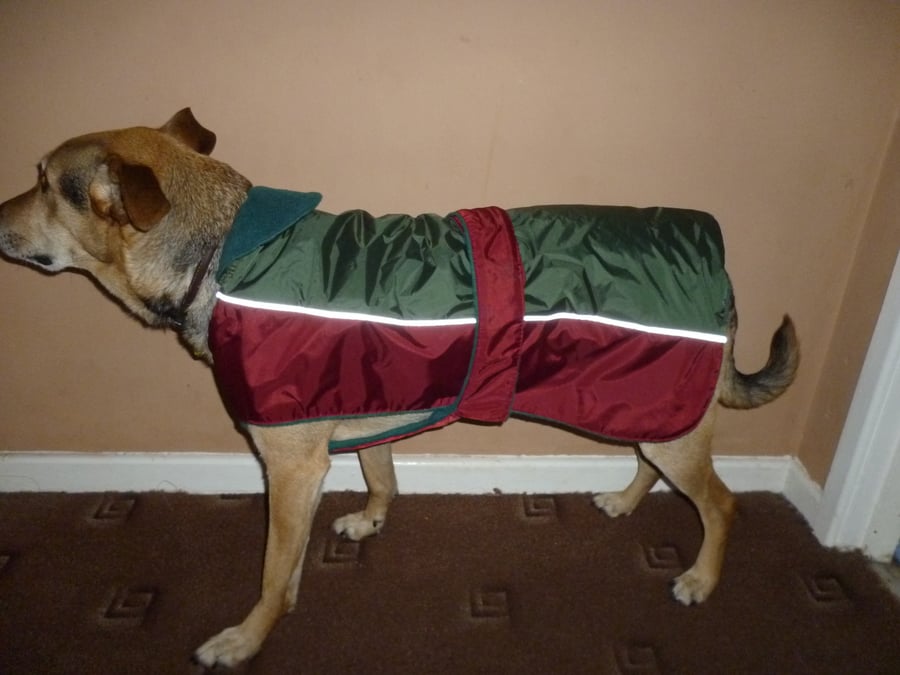 Dog coat, waterproof bespoke large- suitable for staffy, slim labs etc