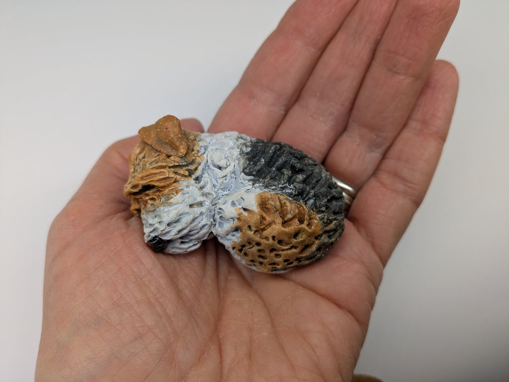 Mini Curled Wire Fox Terrier