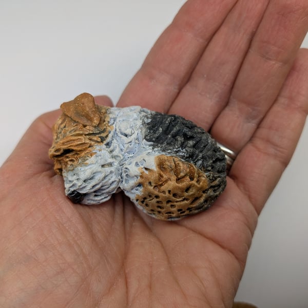 Mini Curled Wire Fox Terrier