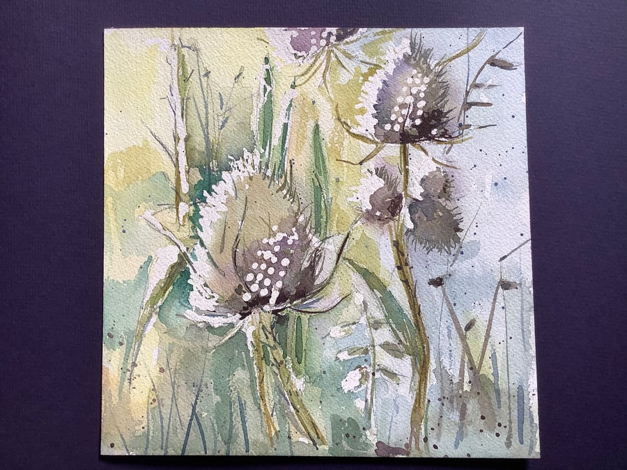 Teasel country