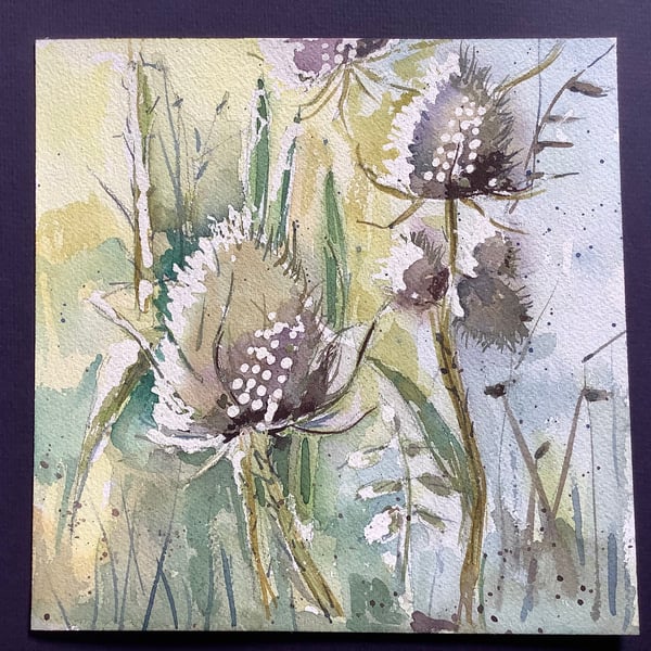 Teasel country