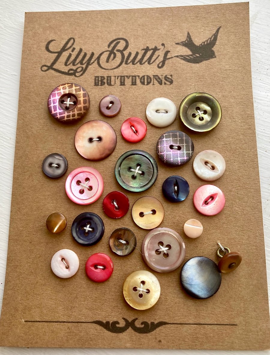 24 Mother of Pearl Buttons - Multi Coloured