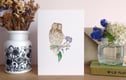 Cards and Stationery