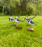 Lapwing (Peesie) - Image 2