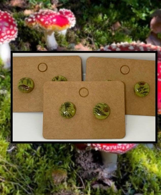 Forest mushroom resin coated clay studs