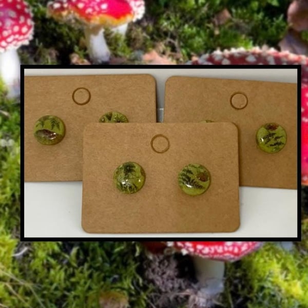 Forest mushroom resin coated clay studs