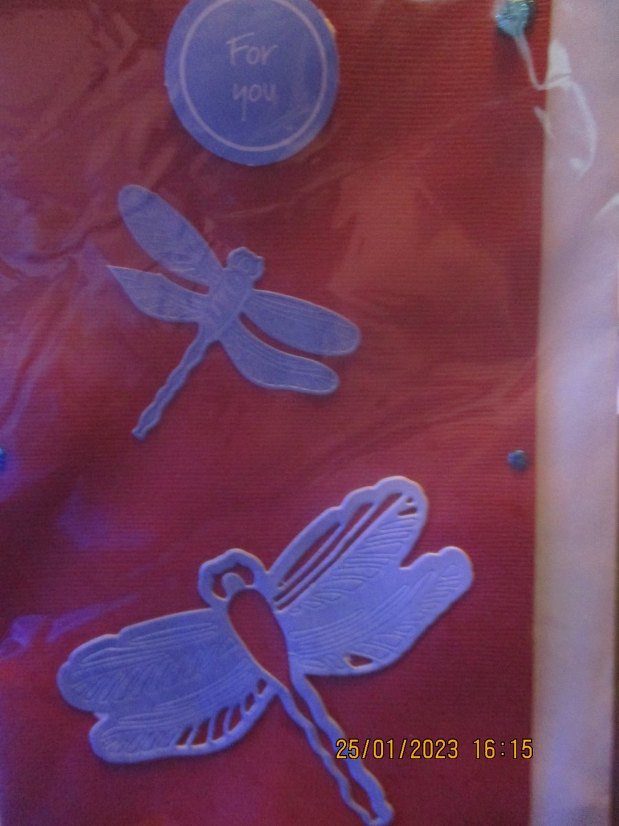 For you Dragonflies Card