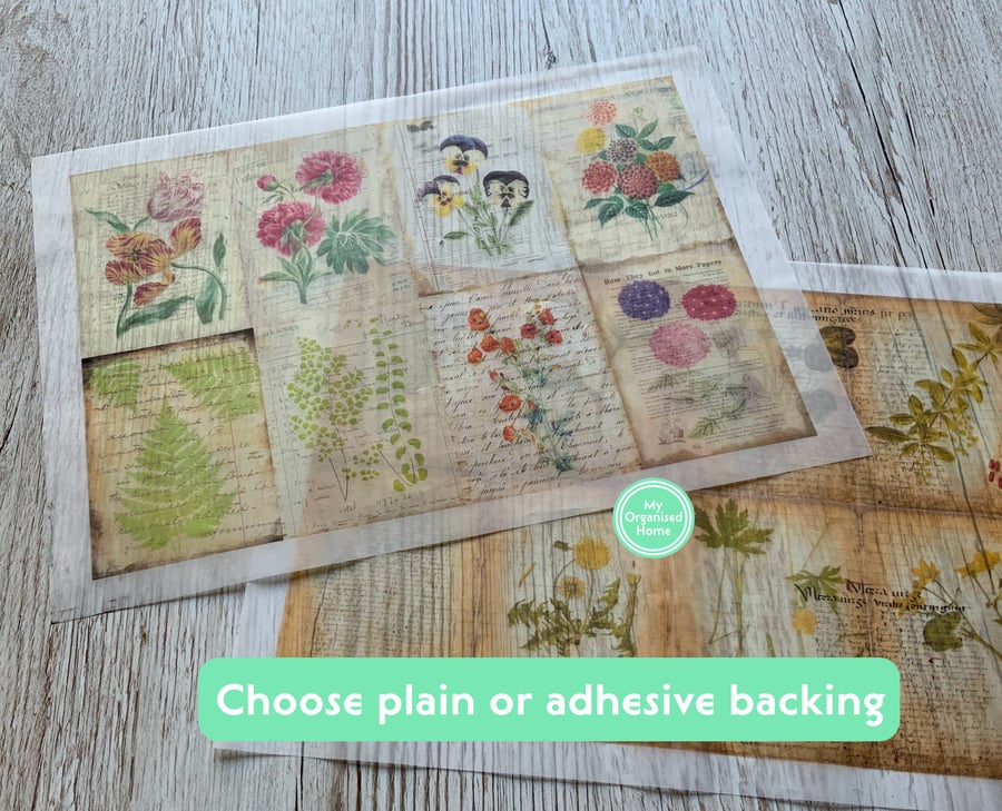 Vellum ephemera (A4 size) for scrapbooking, junk journals, planners and crafting