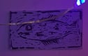 Lino Collection