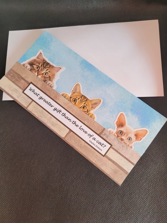 Peeping cats blank greetings card - tabby
