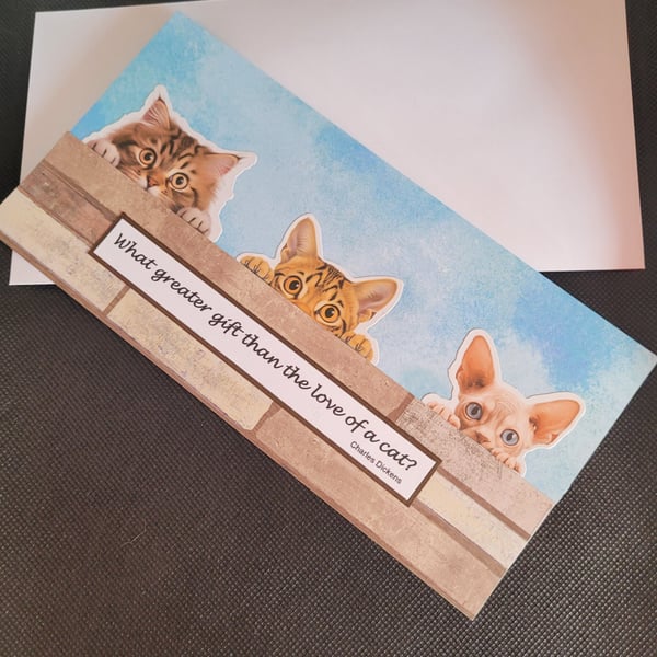 Peeping cats blank greetings card - tabby