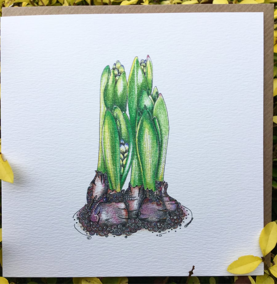Spring Hyacinth bulbs greeting card 