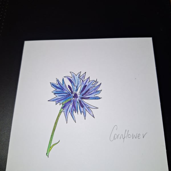 Original Handpainted Greetings Card- Cornflower