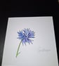 Original Handpainted Greetings Card- Cornflower