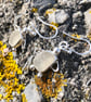 White Sea Glass and Sterling Silver Turtle Earrings - 1285 - Image 2