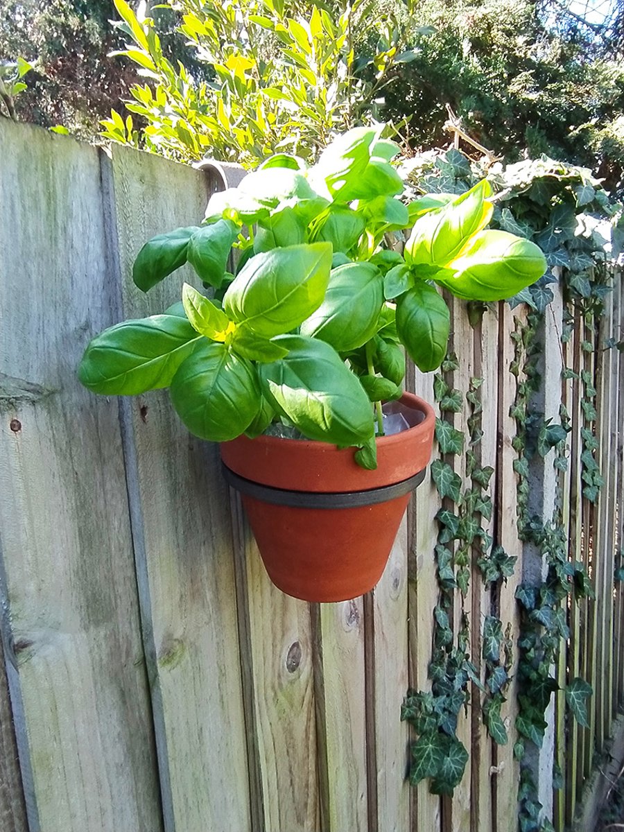 Hand made rustic 'fence hanging' 6" Pot Ring