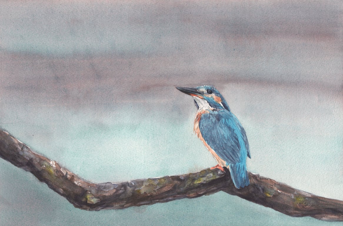 Kingfisher Painting, Watercolour Kingfisher Art