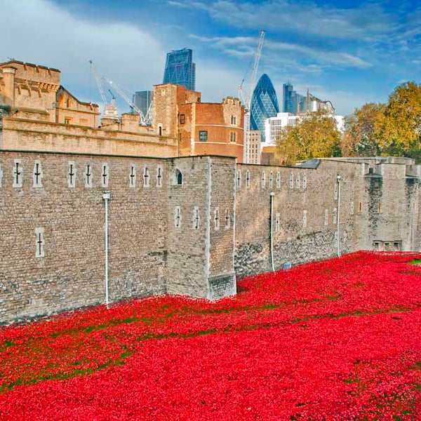 Tower of London Red Poppies England Photograph Print