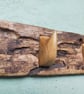 Blitz Timber 10 - Image 4