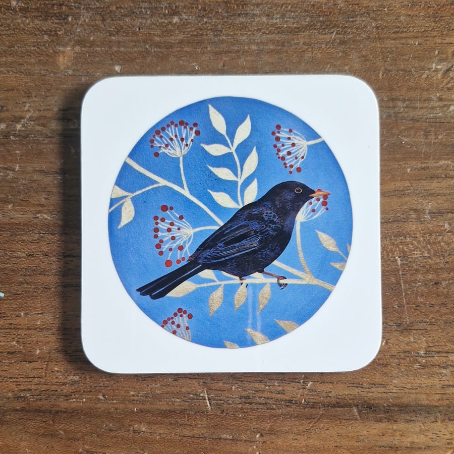 Blackbird Coaster