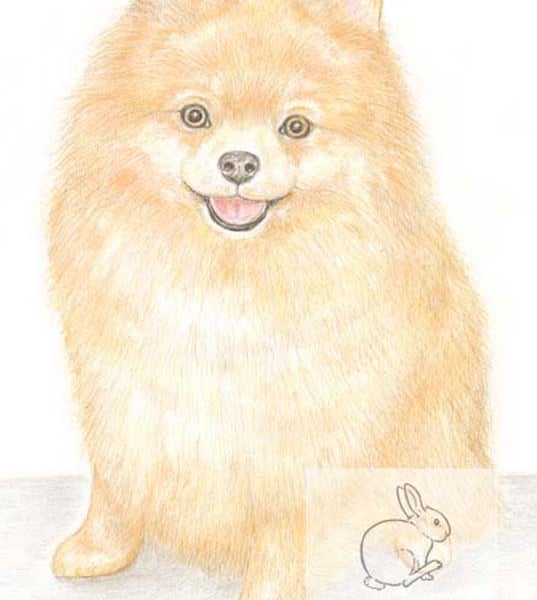 Poppy the Pomeranian - Blank Card